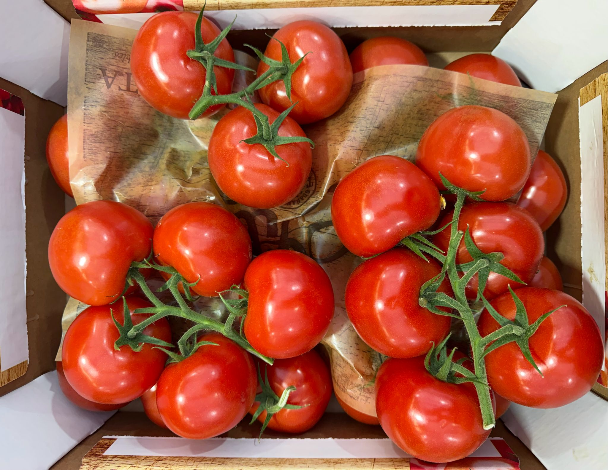 Strauchtomaten Elite 5kg Karton BE