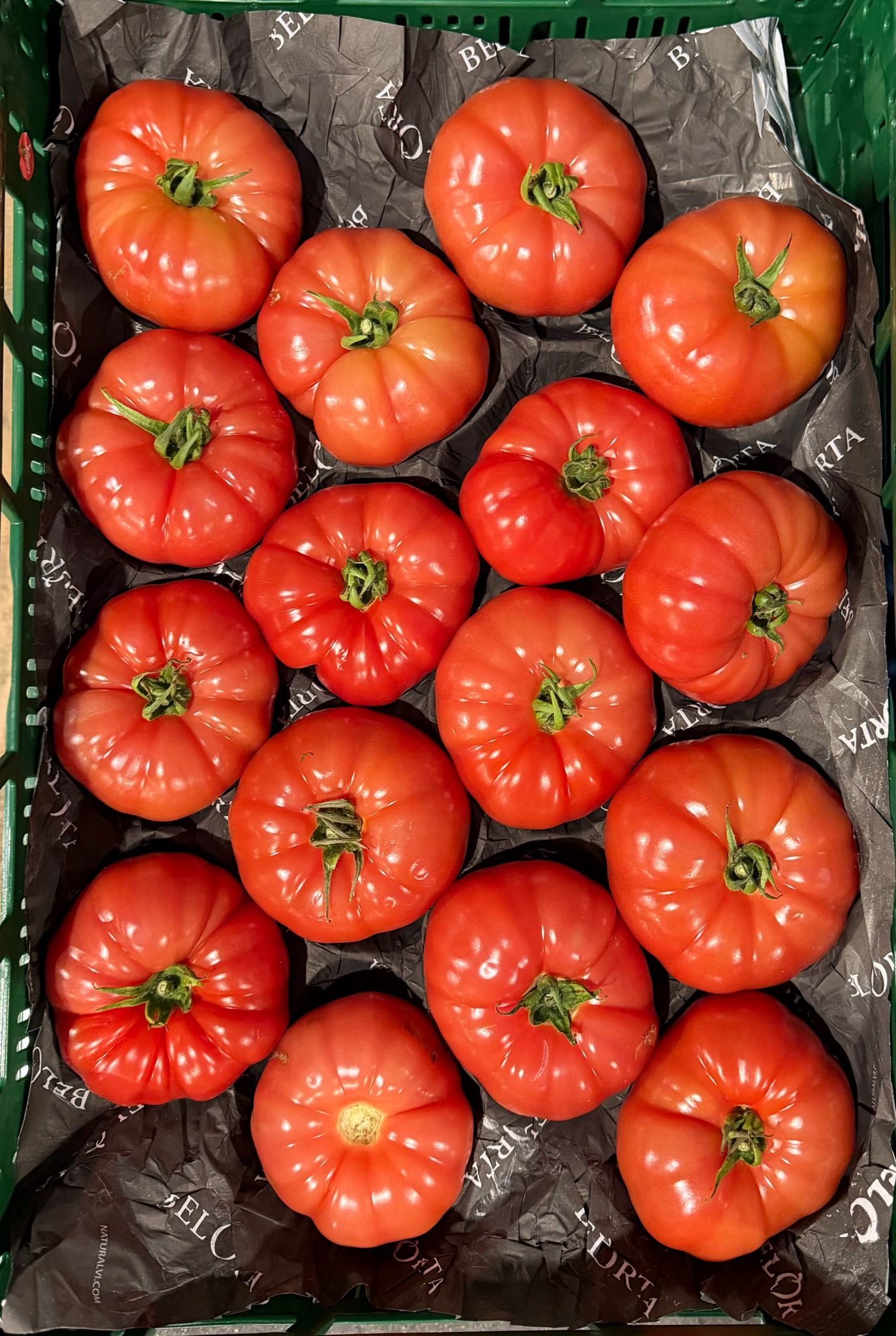 Fleischtomaten 102+ 7kg BE