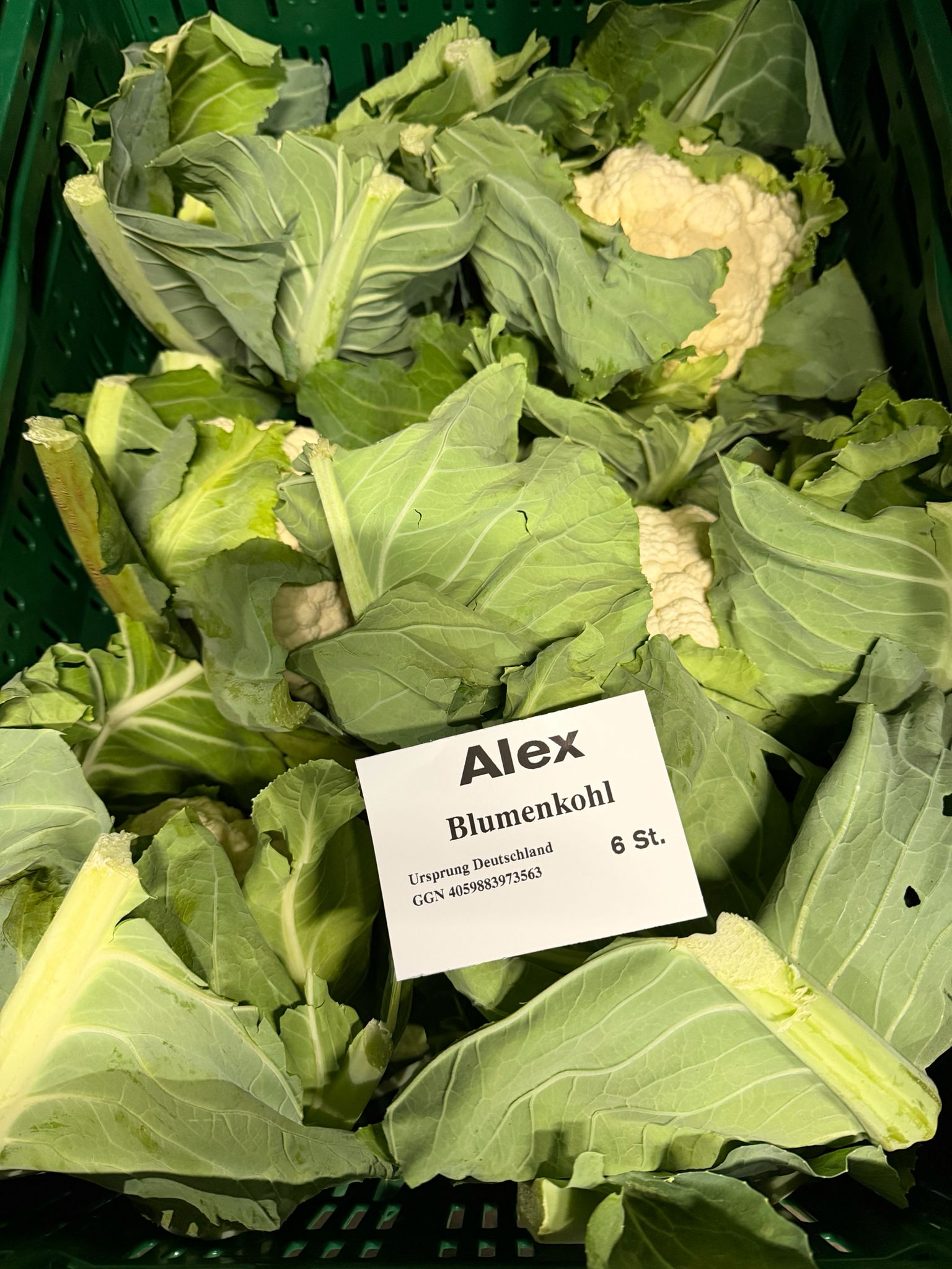 Blumenkohl 6er Kiste DE